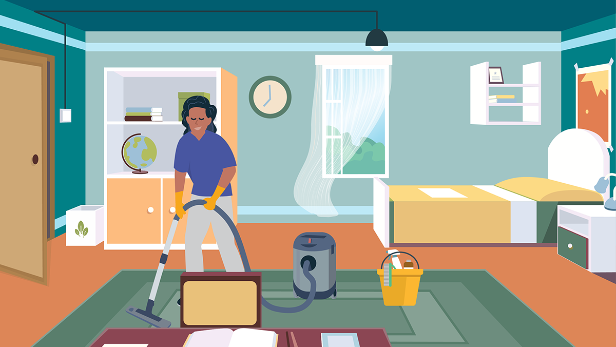 HouseCleaner1 HouseCleaner1